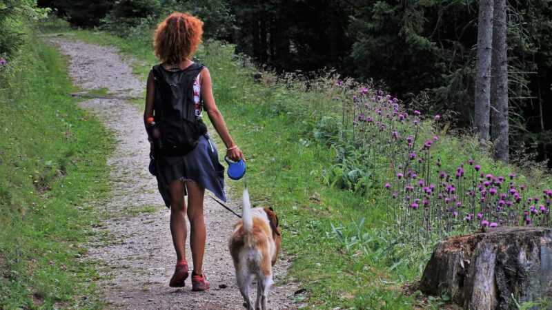 W jaki sposób regularne spacery wspomagają utratę wagi?