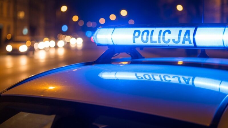 Pijani kierowcy z zagranicy zatrzymani po wspólnej imprezie w Siedlcach