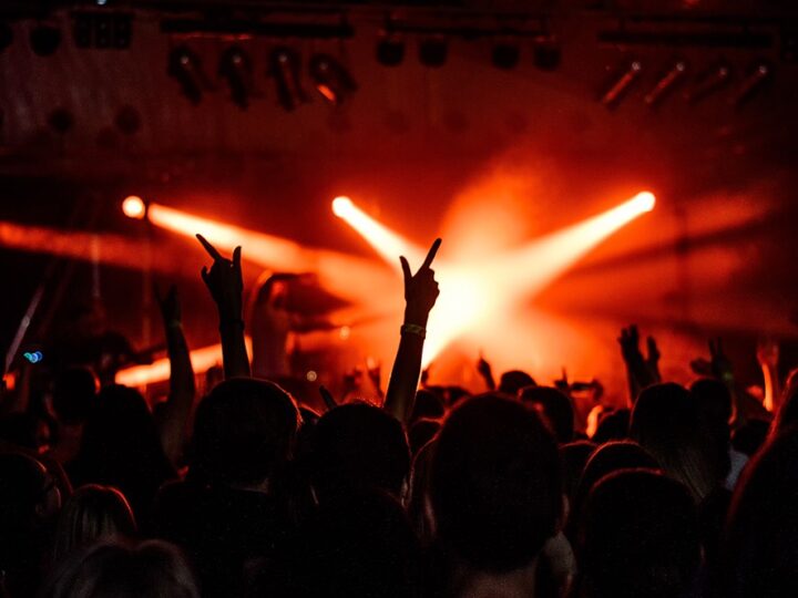 Muzyczne Koncerty z Okazji Dnia Kobiet w Gminie Kotuń!