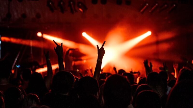 Muzyczne Koncerty z Okazji Dnia Kobiet w Gminie Kotuń!