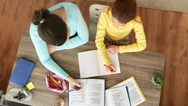 Konferencja o niedostosowaniu społecznym: dziecko czy system?