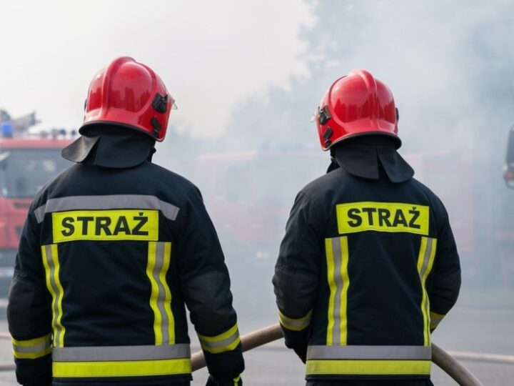 Stop wypalaniu traw: jak chronić naturę i życie ludzi