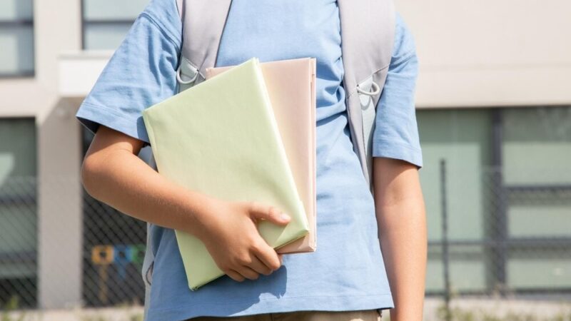 Gmina Domanice stawia na cyfryzację dzięki nowemu projektowi edukacyjnemu