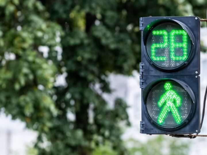 Wiosna w pełni: Uważaj na dzikie zwierzęta na drogach!