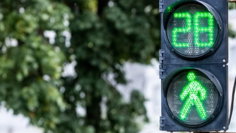 Wiosna w pełni: Uważaj na dzikie zwierzęta na drogach!