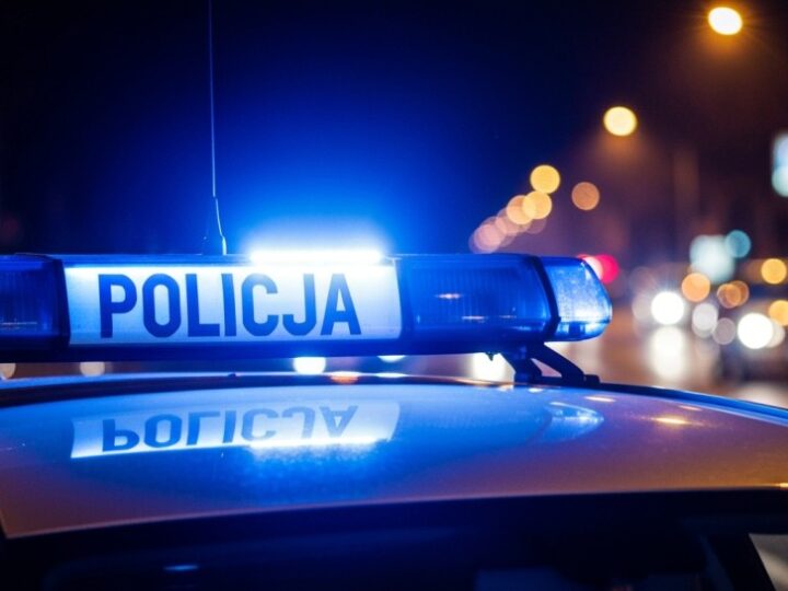 Kierowca z fałszywym prawem jazdy zatrzymany podczas odbywania kary więzienia