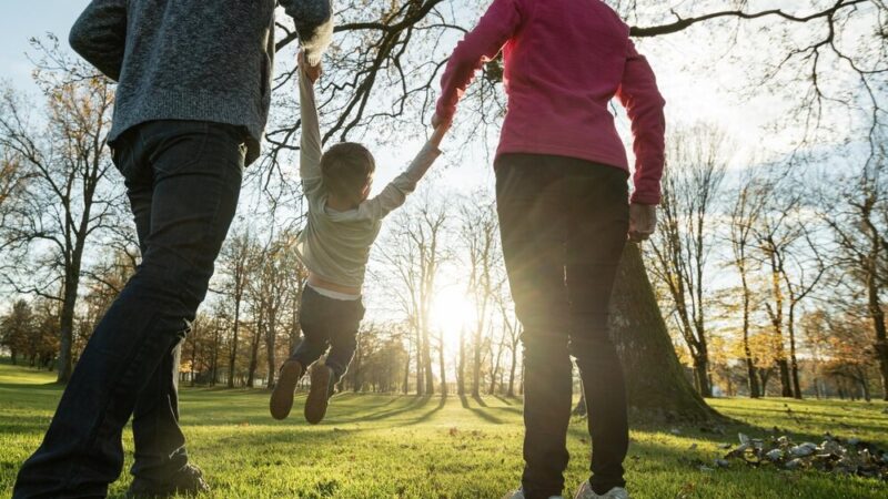 Szczeniaki szukają kochających domów – pomóż im w adopcji!