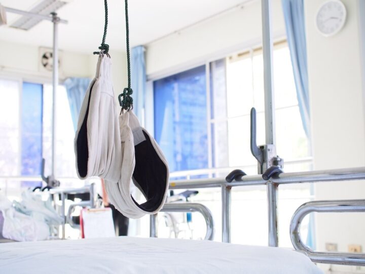 Jesienna akcja szczepienia lisów przeciwko wściekliźnie w Mazowszu