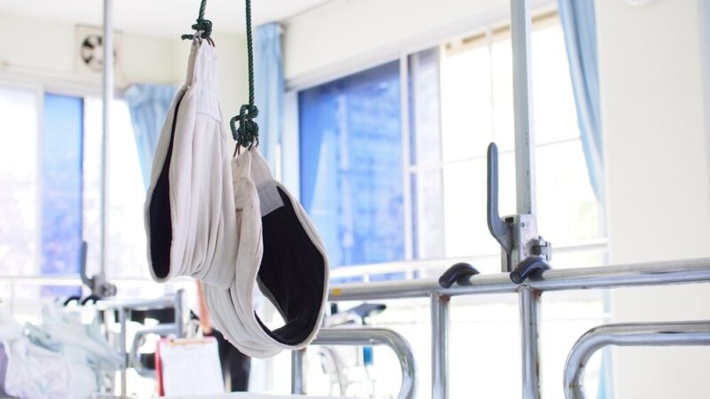 Jesienna akcja szczepienia lisów przeciwko wściekliźnie w Mazowszu