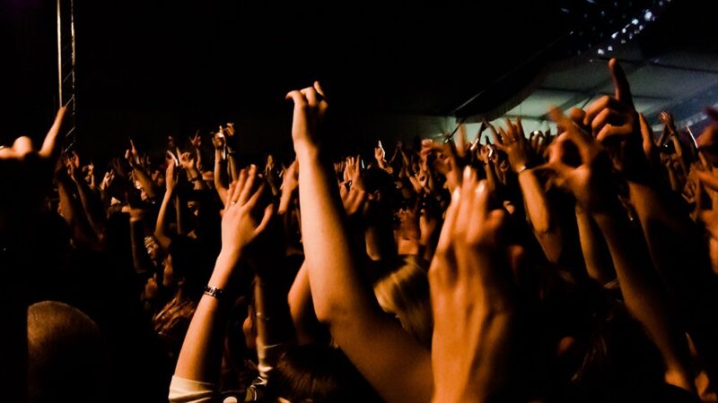 Festiwal Organowe Siedlce 2026 w pełnym rozkwicie!